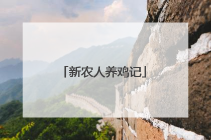 新农人养鸡记