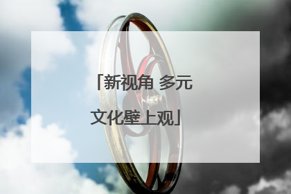 新视角 多元文化壁上观