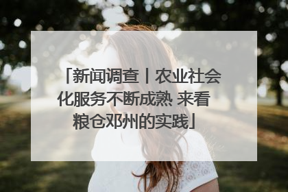 新闻调查丨农业社会化服务不断成熟 来看粮仓邓州的实践