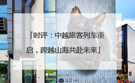 时评：中越旅客列车重启，跨越山海共赴未来