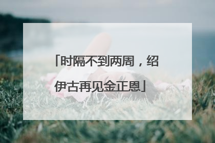 时隔不到两周，绍伊古再见金正恩