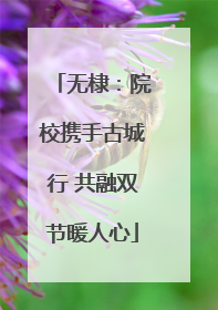 无棣：院校携手古城行 共融双节暖人心