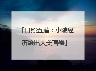 日照五莲：小院经济绘出大美画卷