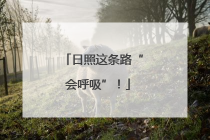 日照这条路“会呼吸”！