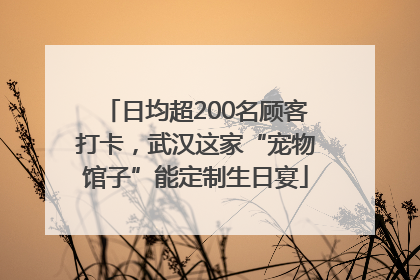 日均超200名顾客打卡，武汉这家“宠物馆子”能定制生日宴