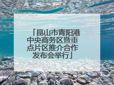 昆山市青阳港中央商务区暨重点片区推介合作发布会举行