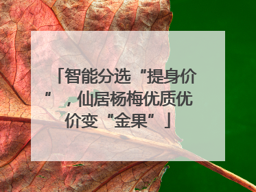 智能分选“提身价”，仙居杨梅优质优价变“金果”