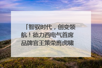 智驭时代，创变领航！德力西电气首席品牌官王策荣膺虎啸奖年度品牌人物
