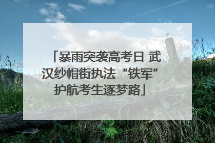 暴雨突袭高考日 武汉纱帽街执法“铁军”护航考生逐梦路