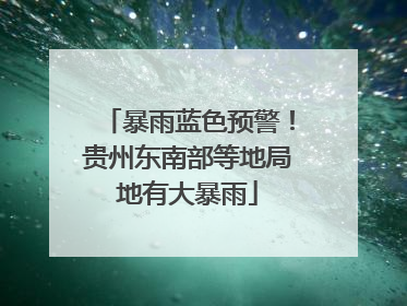 暴雨蓝色预警！贵州东南部等地局地有大暴雨