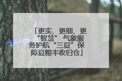 更实、更细、更“智慧” 气象服务护航“三夏”保障夏粮丰收归仓