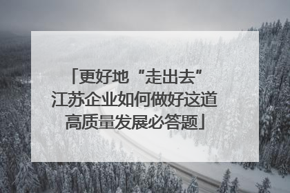 更好地“走出去” 江苏企业如何做好这道高质量发展必答题