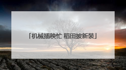 机械插秧忙 稻田披新装