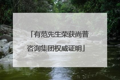 有范先生荣获尚普咨询集团权威证明