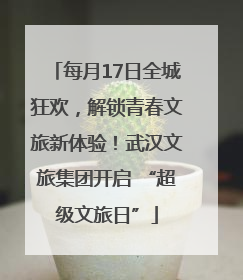 每月17日全城狂欢，解锁青春文旅新体验！武汉文旅集团开启 “超级文旅日”