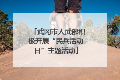 武冈市人武部积极开展“民兵活动日”主题活动
