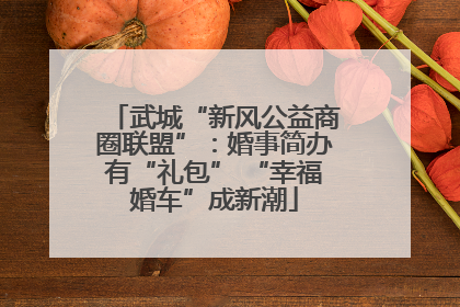武城“新风公益商圈联盟”：婚事简办有“礼包” “幸福婚车”成新潮