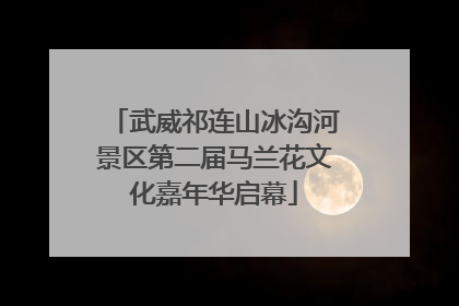 武威祁连山冰沟河景区第二届马兰花文化嘉年华启幕