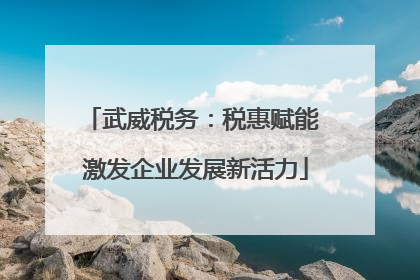 武威税务：税惠赋能 激发企业发展新活力