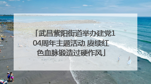 武昌紫阳街道举办建党104周年主题活动 赓续红色血脉锻造过硬作风
