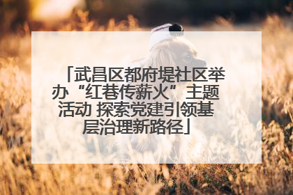 武昌区都府堤社区举办“红巷传薪火”主题活动 探索党建引领基层治理新路径