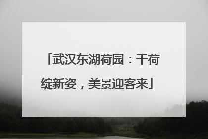 武汉东湖荷园：千荷绽新姿，美景迎客来