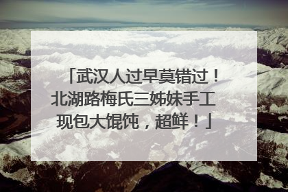 武汉人过早莫错过！北湖路梅氏三姊妹手工现包大馄饨，超鲜！