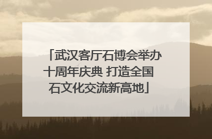 武汉客厅石博会举办十周年庆典 打造全国石文化交流新高地