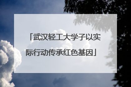 武汉轻工大学子以实际行动传承红色基因