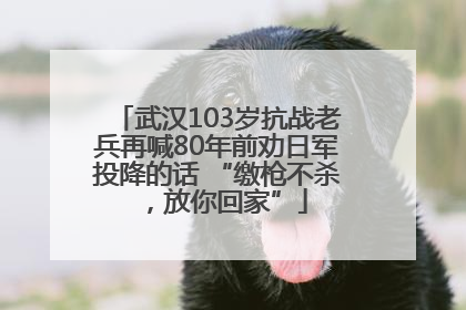 武汉103岁抗战老兵再喊80年前劝日军投降的话 “缴枪不杀，放你回家”