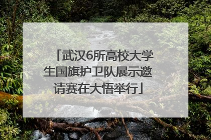 武汉6所高校大学生国旗护卫队展示邀请赛在大悟举行