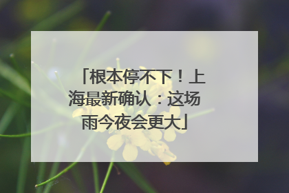 根本停不下！上海最新确认：这场雨今夜会更大