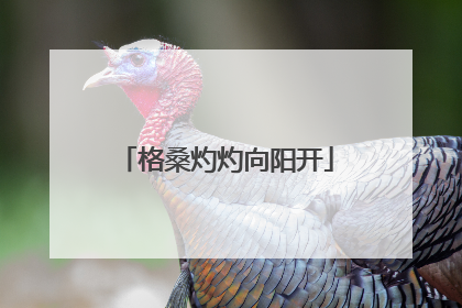 格桑灼灼向阳开