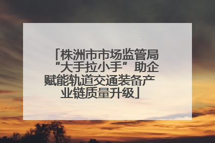 株洲市市场监管局“大手拉小手”助企赋能轨道交通装备产业链质量升级