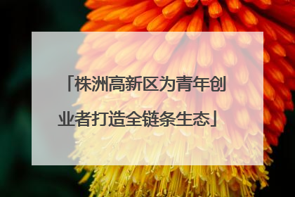 株洲高新区为青年创业者打造全链条生态
