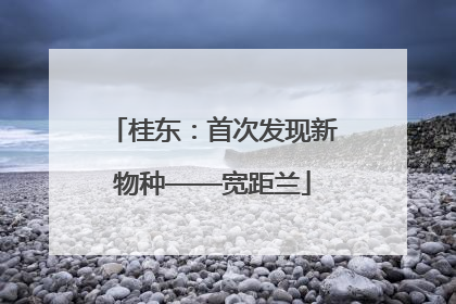 桂东：首次发现新物种——宽距兰