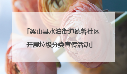 梁山县水泊街道德馨社区开展垃圾分类宣传活动