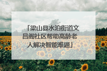 梁山县水泊街道文昌阁社区帮助高龄老人解决智能难题
