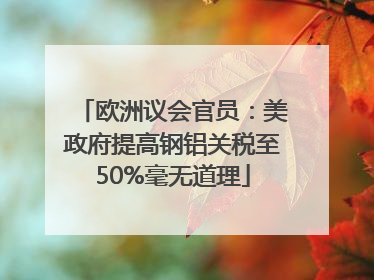 欧洲议会官员：美政府提高钢铝关税至50%毫无道理
