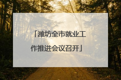 潍坊全市就业工作推进会议召开