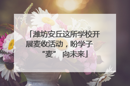 潍坊安丘这所学校开展麦收活动，盼学子 “麦” 向未来