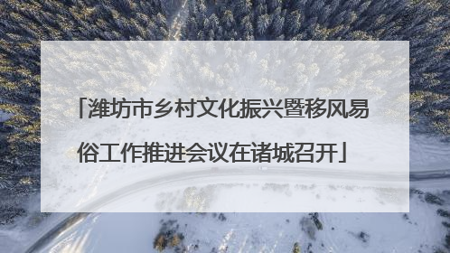 潍坊市乡村文化振兴暨移风易俗工作推进会议在诸城召开