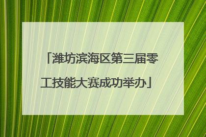 潍坊滨海区第三届零工技能大赛成功举办