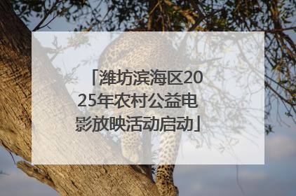 潍坊滨海区2025年农村公益电影放映活动启动
