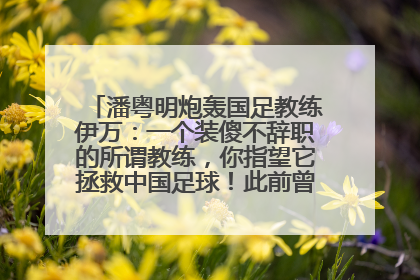潘粤明炮轰国足教练伊万：一个装傻不辞职的所谓教练，你指望它拯救中国足球！此前曾多次发文评价国足