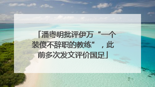 潘粤明批评伊万“一个装傻不辞职的教练”，此前多次发文评价国足
