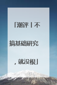 潮评丨不搞基础研究，就没根