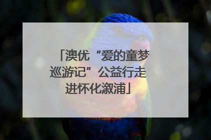 澳优“爱的童梦巡游记”公益行走进怀化溆浦