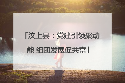 汶上县：党建引领聚动能 组团发展促共富