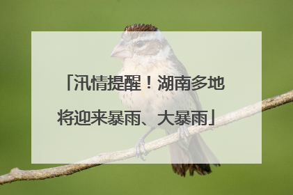 汛情提醒！湖南多地将迎来暴雨、大暴雨